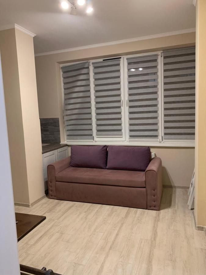 Срібний Дім Apartments Truskavets Exterior foto